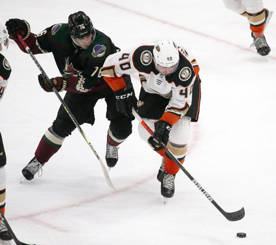 San Diego Gulls: Zegras and Drysdale highlight AHL roster